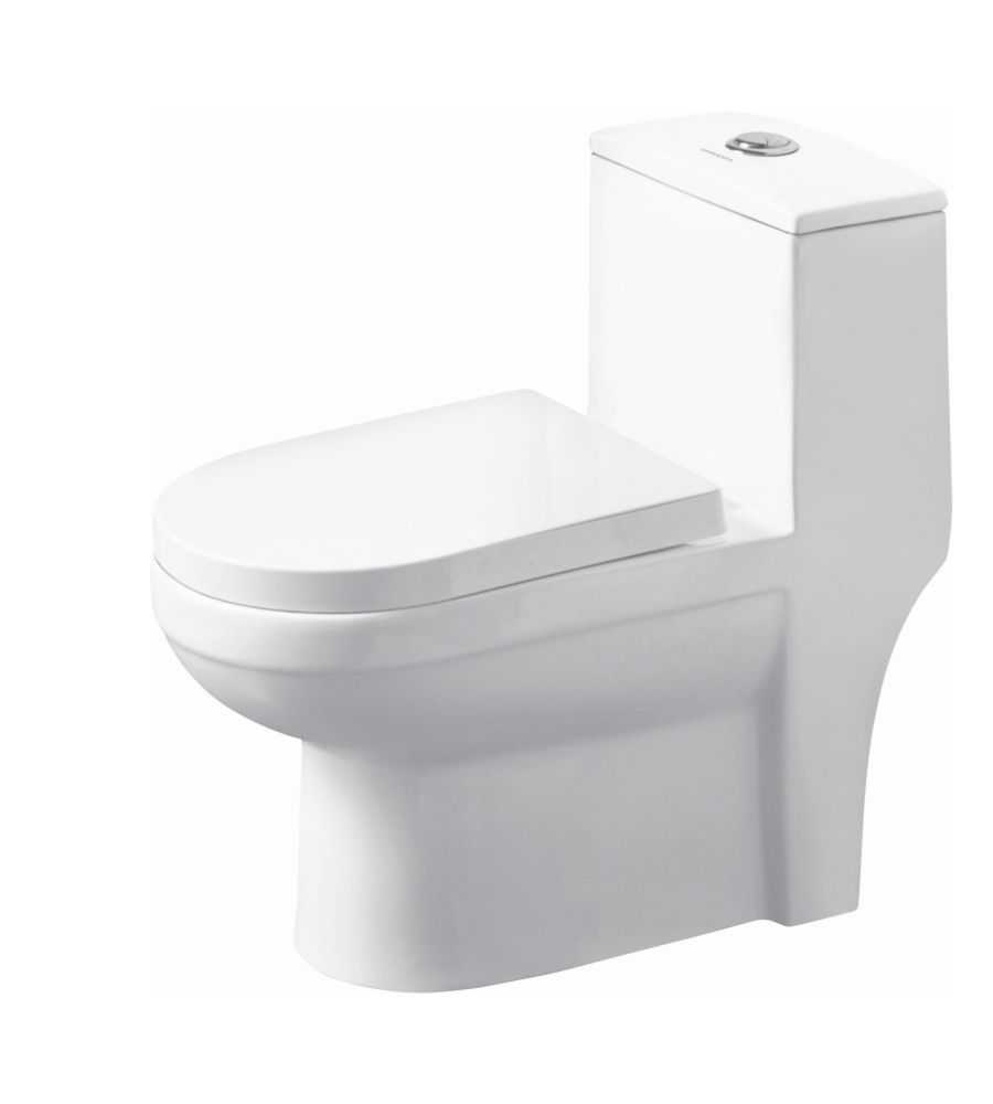 NIRO V- 10009 Floor mounted Tornado Flush | Siphonic System