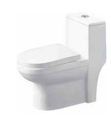 NIRO V- 10009 Floor mounted Tornado Flush | Siphonic System
